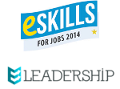 e-skills EC initiatives